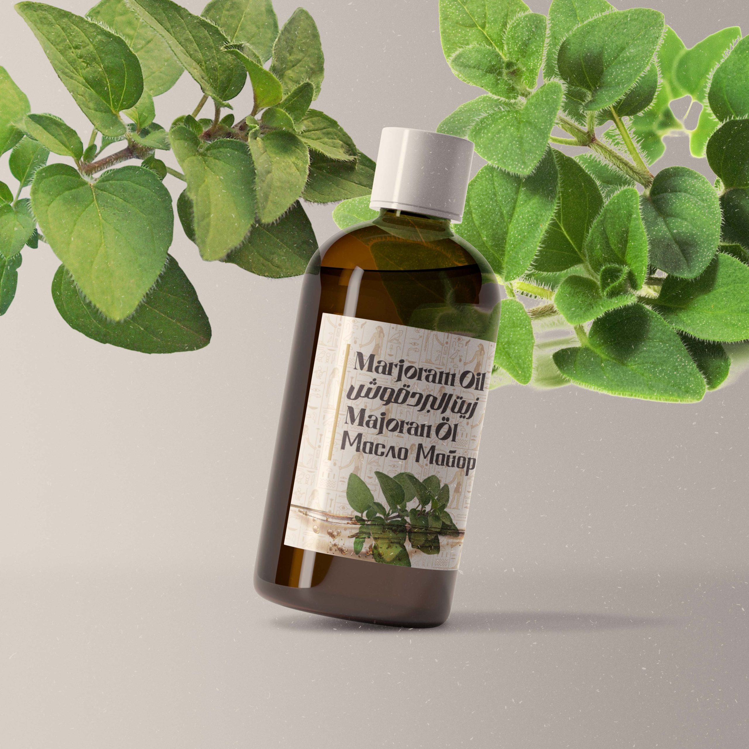 Marjoram Marjoram Oil - Image 1